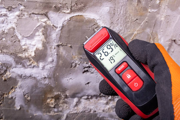 Best Mold Testing  in Greendale, WI