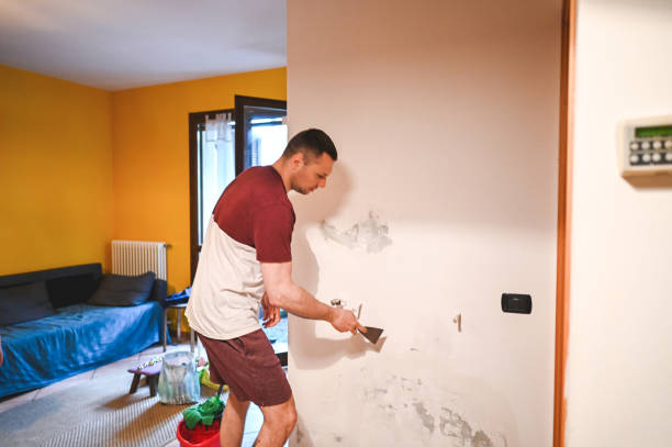 Best Mold Testing  in Greendale, WI