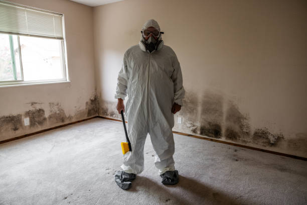 Crawl Space Mold Removal in Greendale, WI